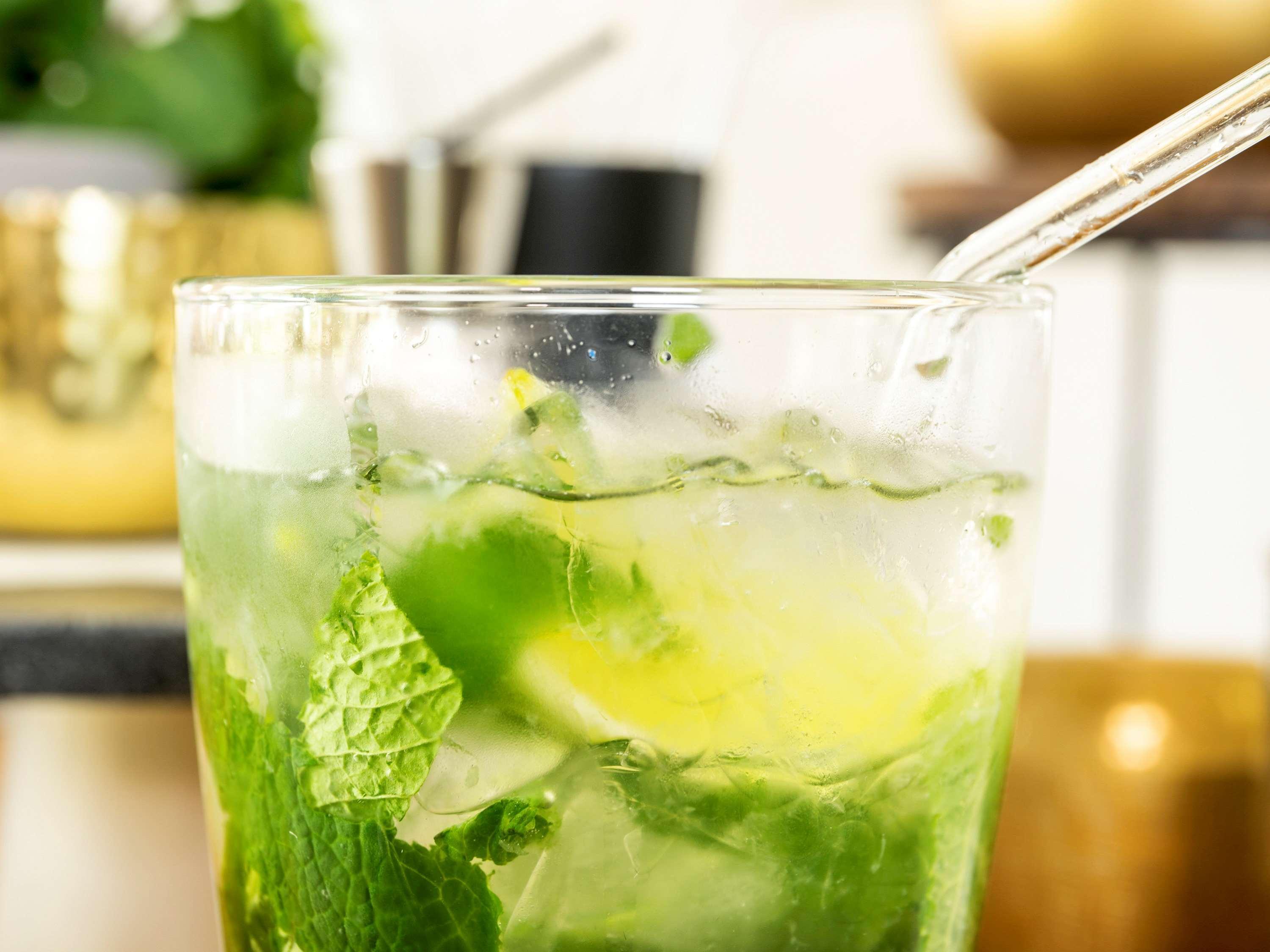 Novotel Chennai Sipcot Εξωτερικό φωτογραφία A mojito