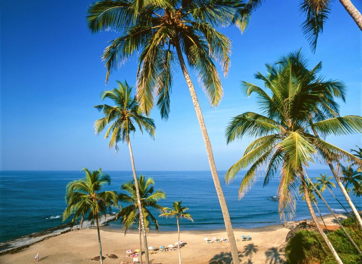Novotel Chennai Sipcot Εξωτερικό φωτογραφία Beach in Calangute