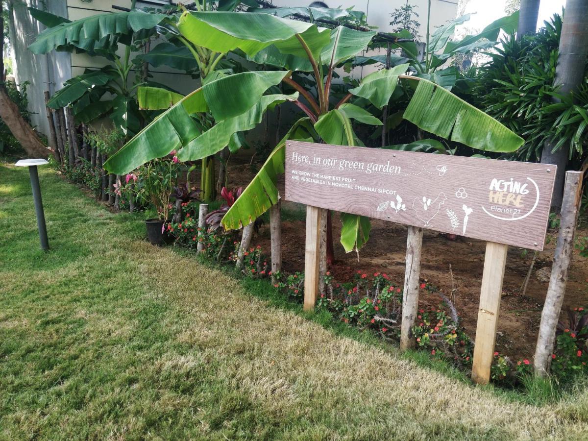 Novotel Chennai Sipcot Εξωτερικό φωτογραφία The Edible Garden at the National Gallery Singapore